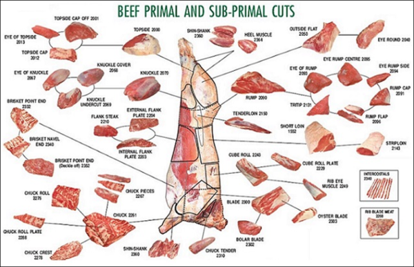 Beef Meat